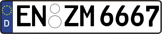 EN-ZM6667