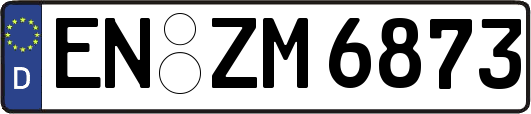 EN-ZM6873