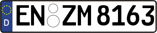 EN-ZM8163