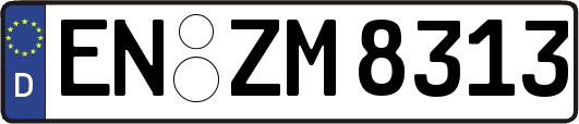 EN-ZM8313