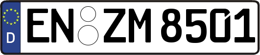 EN-ZM8501