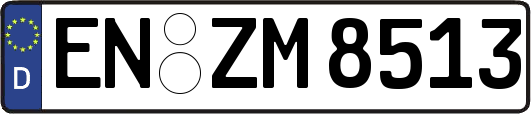 EN-ZM8513