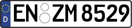 EN-ZM8529