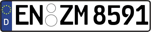 EN-ZM8591