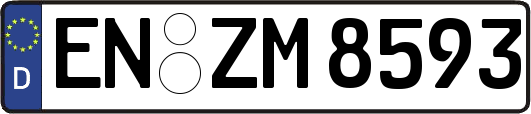 EN-ZM8593