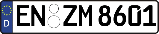 EN-ZM8601