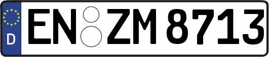 EN-ZM8713