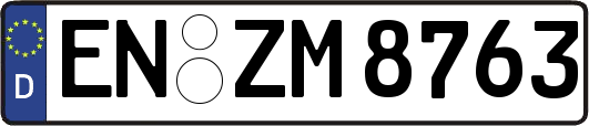 EN-ZM8763