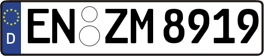 EN-ZM8919