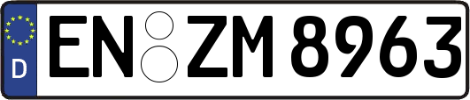 EN-ZM8963