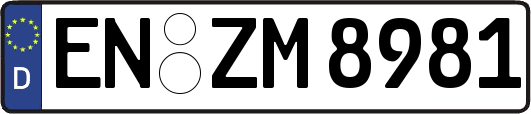 EN-ZM8981