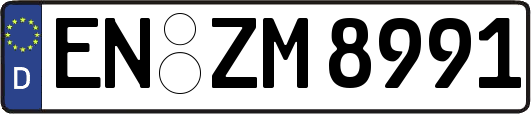 EN-ZM8991