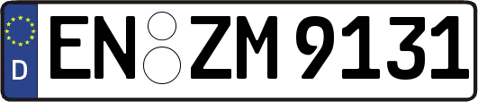 EN-ZM9131