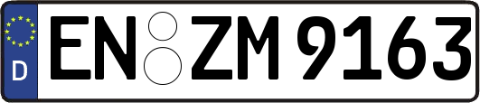 EN-ZM9163