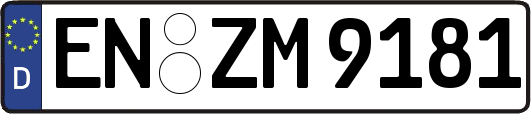 EN-ZM9181