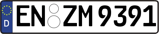 EN-ZM9391