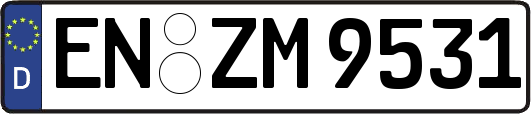 EN-ZM9531