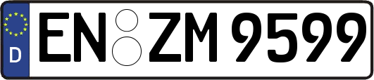 EN-ZM9599