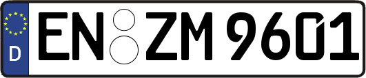 EN-ZM9601