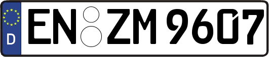 EN-ZM9607