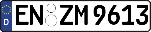 EN-ZM9613