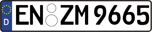 EN-ZM9665