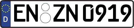 EN-ZN0919