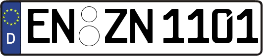 EN-ZN1101