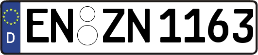 EN-ZN1163