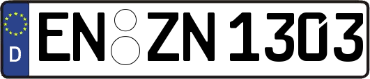 EN-ZN1303