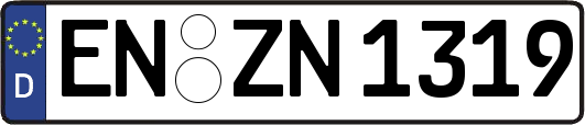 EN-ZN1319