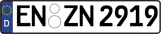 EN-ZN2919