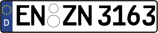 EN-ZN3163