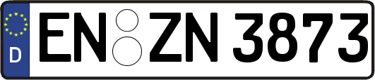 EN-ZN3873