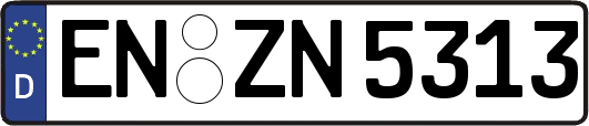 EN-ZN5313