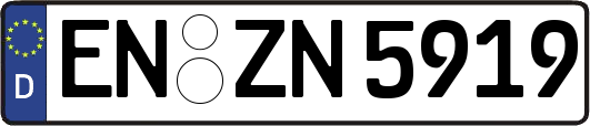 EN-ZN5919