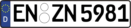 EN-ZN5981