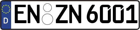 EN-ZN6001