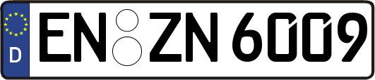 EN-ZN6009