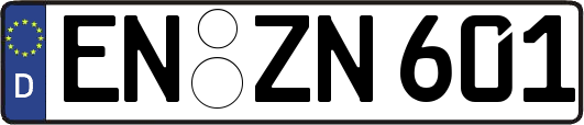 EN-ZN601