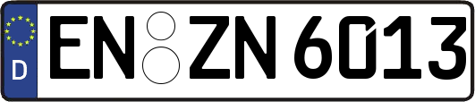 EN-ZN6013