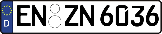 EN-ZN6036