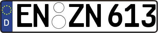 EN-ZN613