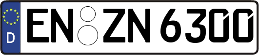 EN-ZN6300