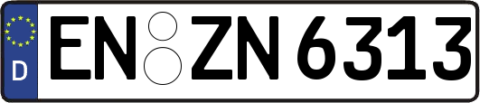 EN-ZN6313