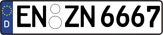 EN-ZN6667