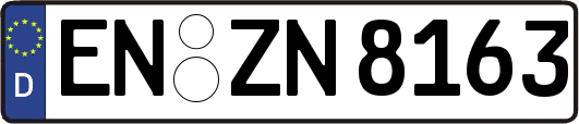 EN-ZN8163