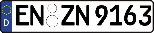 EN-ZN9163