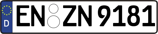 EN-ZN9181