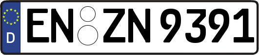 EN-ZN9391